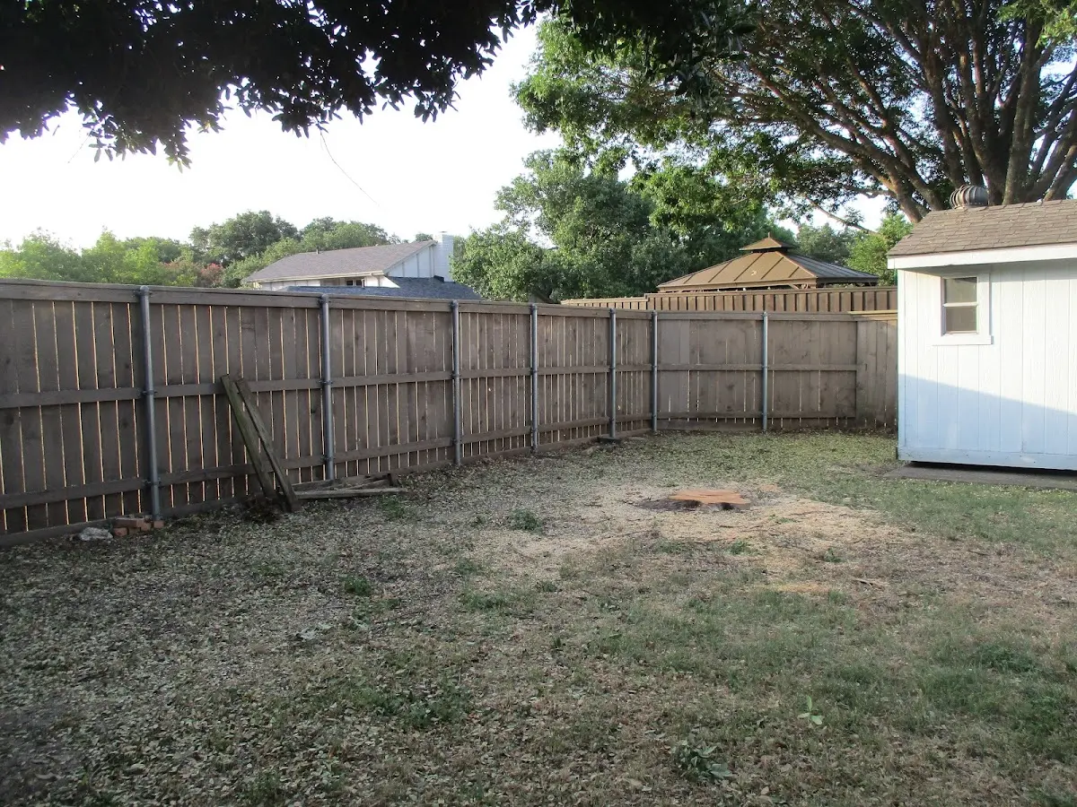 Cleared yard after professional tree removal in Malin
